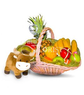 fruit basket with plush toy